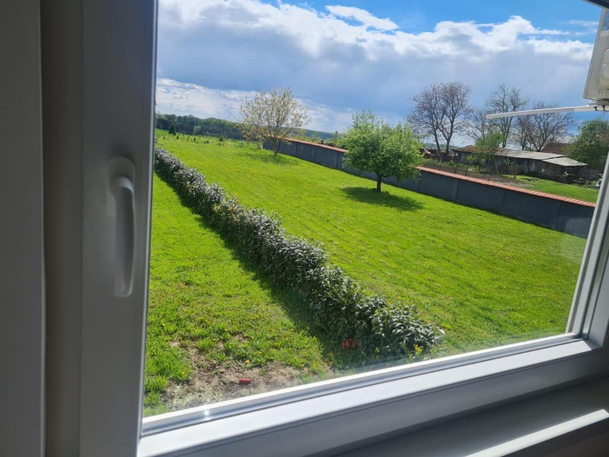 Apartman Ruzic Sveti Ivan Zabno Экстерьер фото