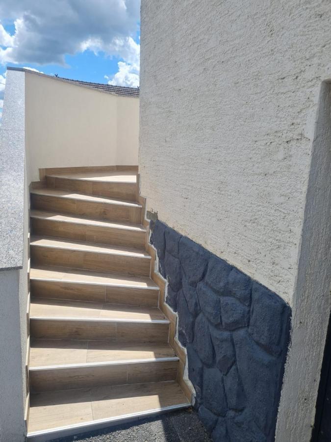 Apartman Ruzic Sveti Ivan Zabno Экстерьер фото